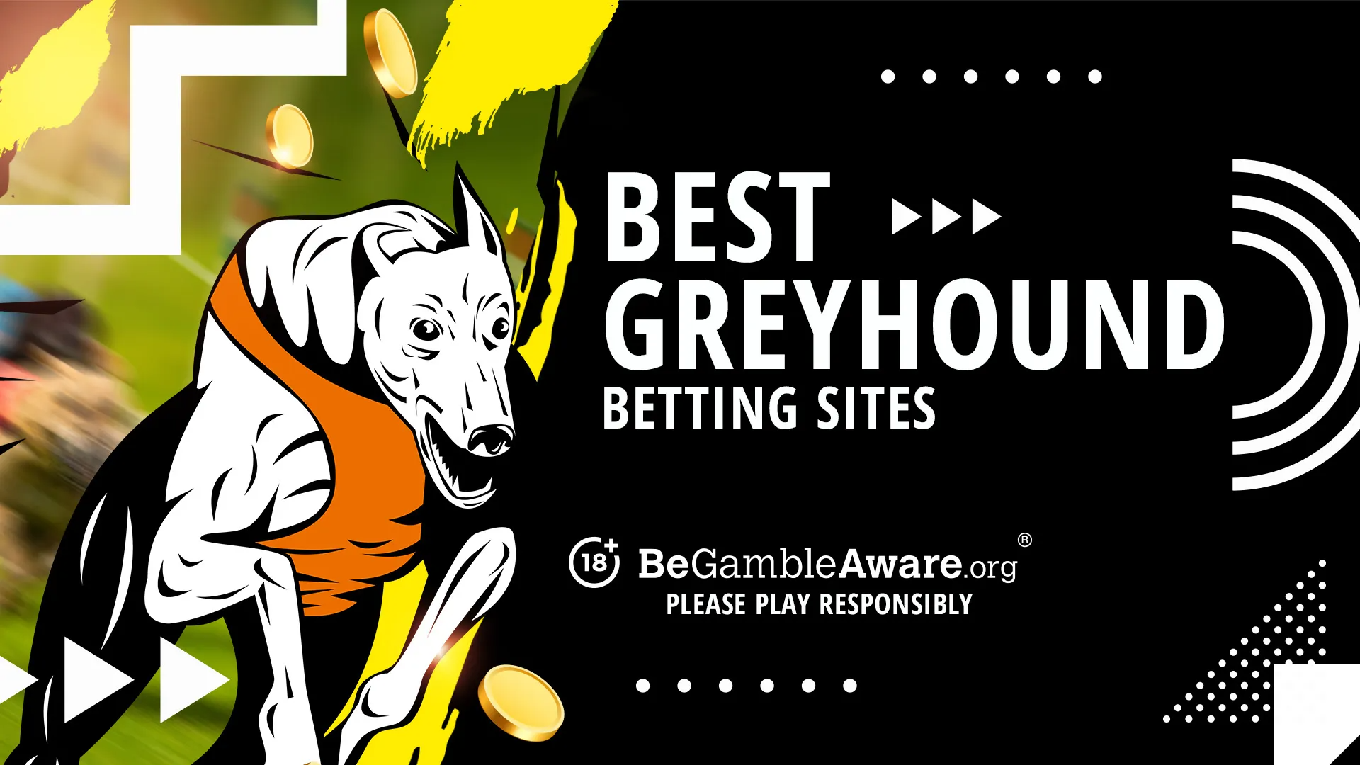 Sports Activities Betting Tracker And Bankroll Management